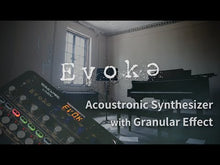 Load and play video in Gallery viewer, LIVEN Evoke